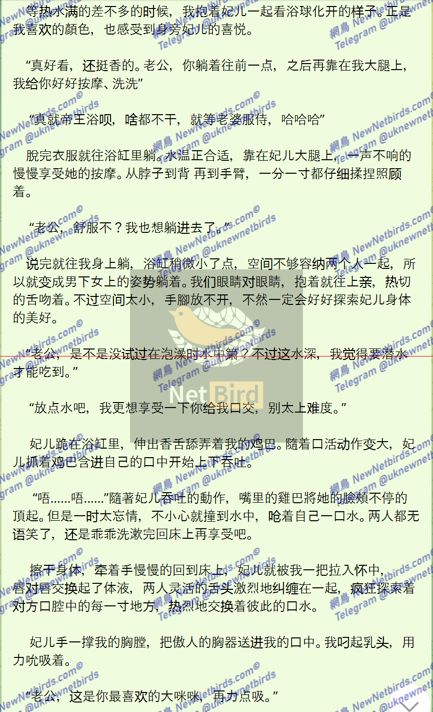 戰號 537 4.png